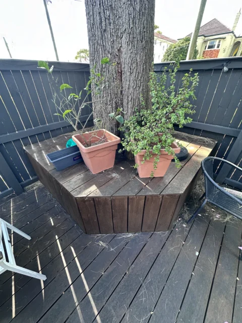 Balgowlah Merbau Deck & Screen Restoration
