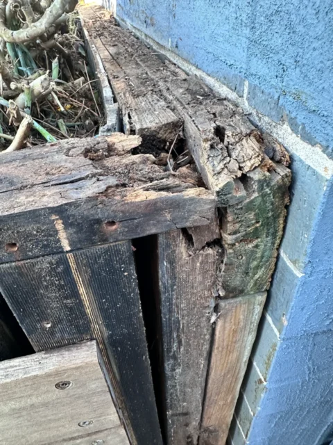 Deck Restoration & Carpentry Repairs in Narrabeen